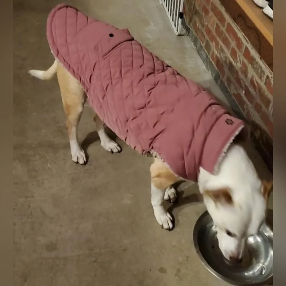 NWT Quilted Dog Coat XL